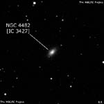 NGC 4482