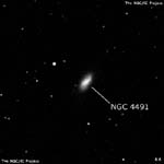 NGC 4491