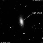NGC 4503