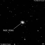 NGC 4566