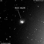 NGC 4629