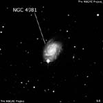 NGC 4981