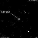 NGC 5019