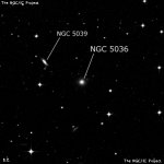 NGC 5036
