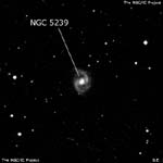 NGC 5239