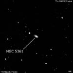 NGC 5361