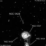 NGC 5428
