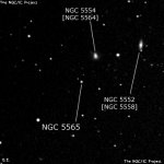 NGC 5565