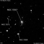 NGC 5567