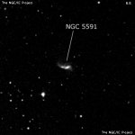 NGC 5591