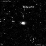 NGC 5592