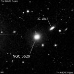 NGC 5629