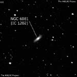 NGC 6081