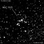 NGC 7031