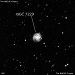 NGC 7229