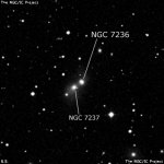NGC 7236