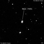 NGC 7491