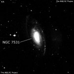 NGC 7531