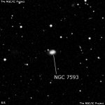 NGC 7593