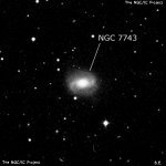 NGC 7743