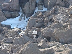 Zkoumání skalní stěny Boulder Cliff.