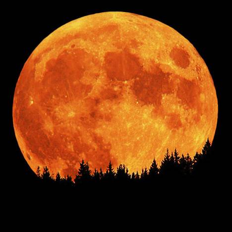 Krásně zbarvený Měsíc v úplňku nad obzorem