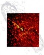 Cen A - výtrysky z galaxie, sonda Einstein
