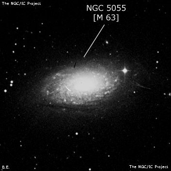 NGC 5055