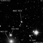NGC 503