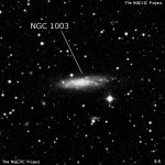 NGC 1003
