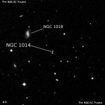NGC 1014