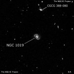 NGC 1019