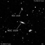 NGC 1029