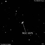 NGC 1075