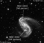 NGC 2443