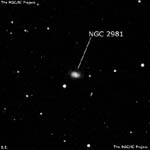 NGC 2981