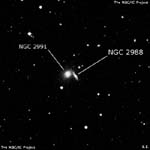 NGC 2988