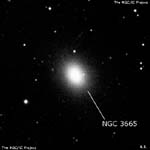 NGC 3665