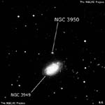 NGC 3950