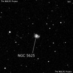 NGC 5625