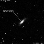 NGC 5675