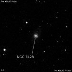 NGC 7428