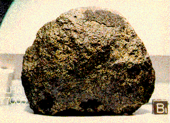 Meteorit ALHA 77005