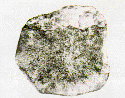 Meteorit Lafayette