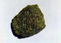 Meteorit Zagami
