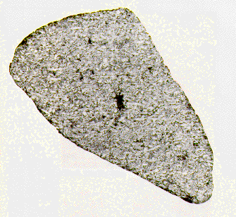 Meteorit Shergotty
